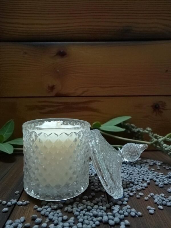 IMG_20250929_184119 IMG_20250929_184119